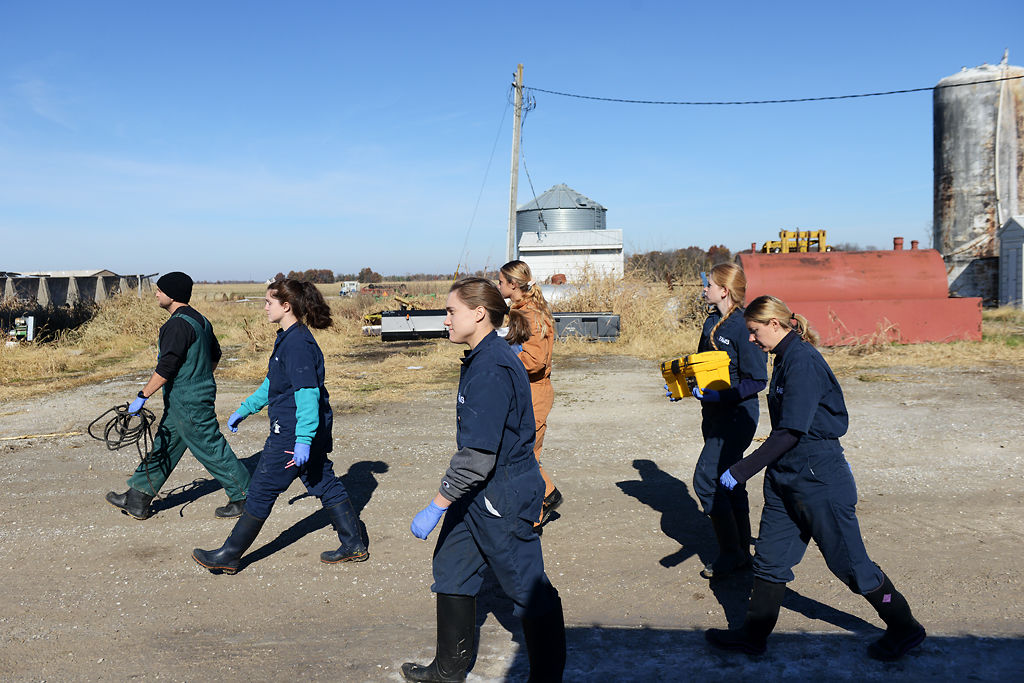 Dr. Brian Shoemake and vet students walk to look at corn silage